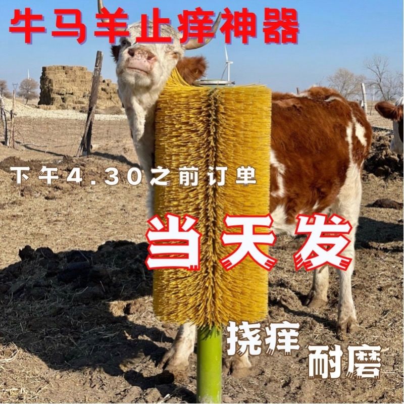 牛体滚刷奶牛刷电全自动按摩刷挠痒痒牛体刷包邮立式旋转牛体刷