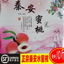 正宗秦安水蜜桃北京7号非离核早生软桃新鲜水果薄皮大毛桃子可撕