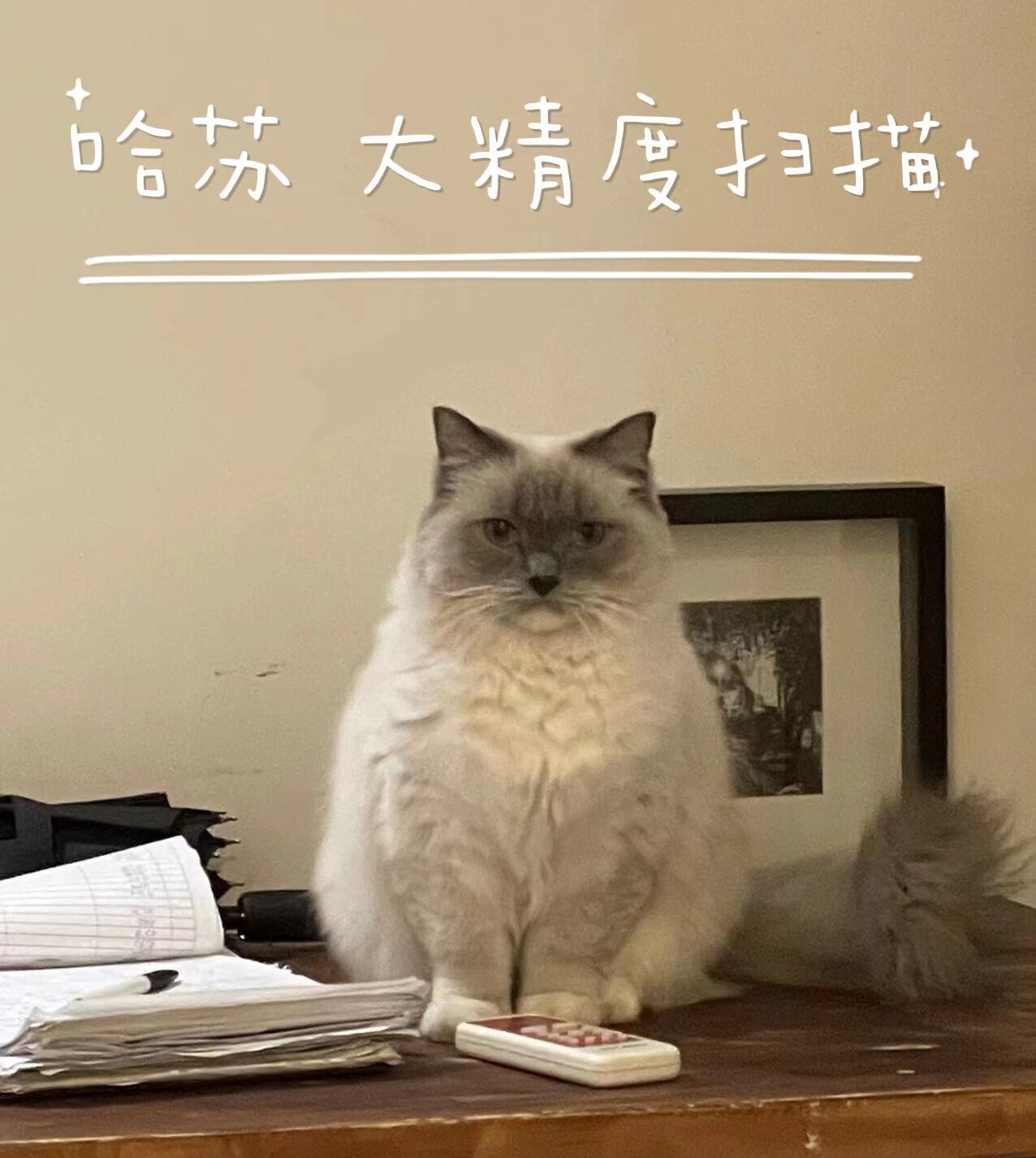 哈苏扫描单条大精度X5图片