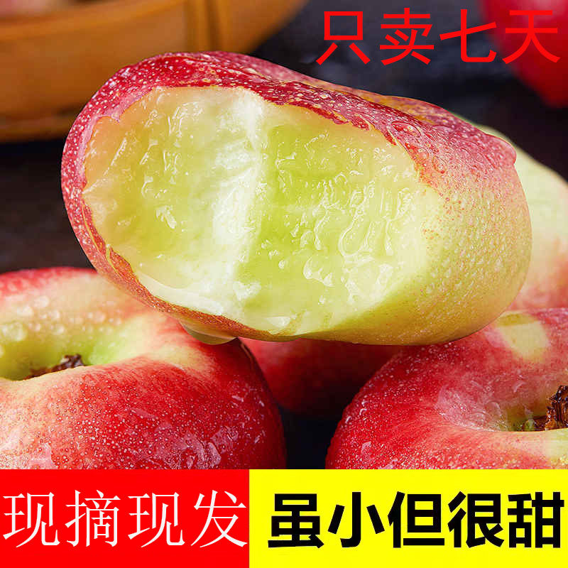 纽扣蟠桃新鲜水果当季整箱油蟠桃孕妇水果现摘新鲜桃子蒙阴蜜桃