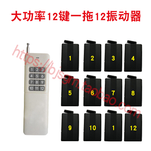 12路震动器提醒器远程震动器老人聋哑人提醒器十二路震动器