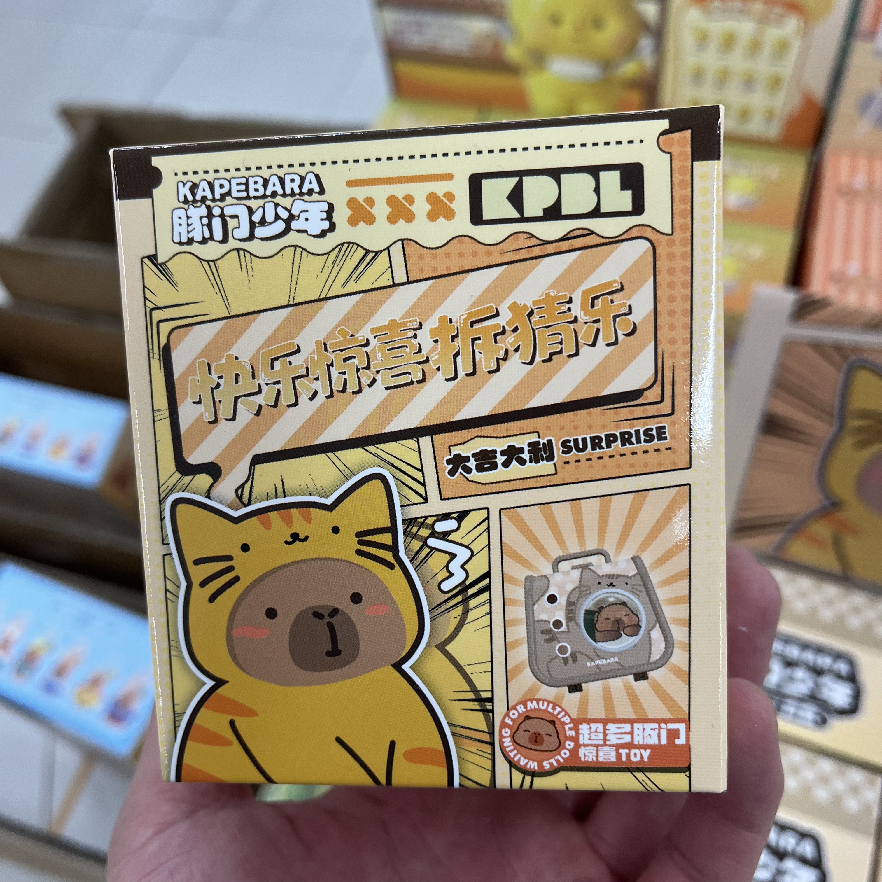 快乐惊喜拆猜乐豚门少年