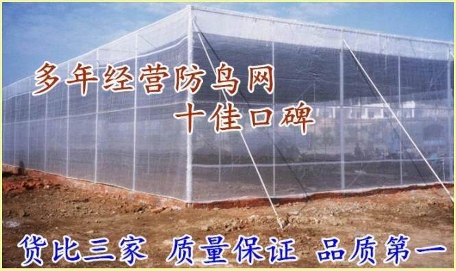 围网塑料聚乙烯泥鳅鱼汤养殖网阳台鸟用尼龙种植网网驱鸟果园粘网在类目 鲜花速递/花卉仿真/绿植园艺, 园艺用品, 其它园艺用品中 - 来自Buy2taobao.com提供专业的淘宝代购服务