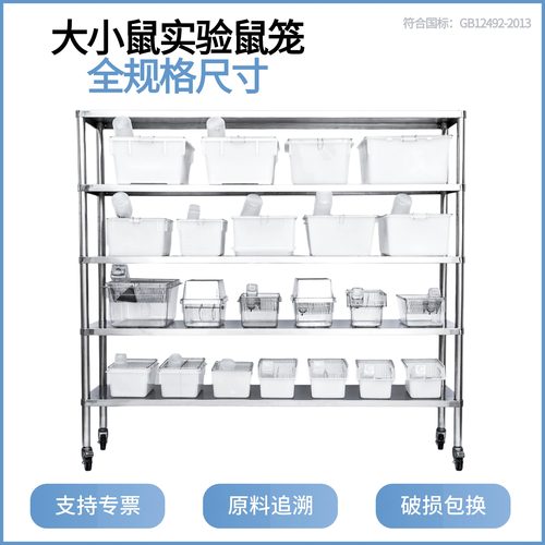 实验繁殖尺寸白鼠医学饲养笼