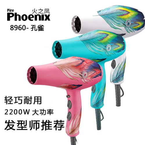 火之凤8960专业德国发廊电吹风机