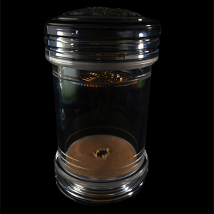 罐王•S149•椰韵聆鸣•李勇椰壳蒙心蝈蝈虫罐配黄铜青蛙簧65*125