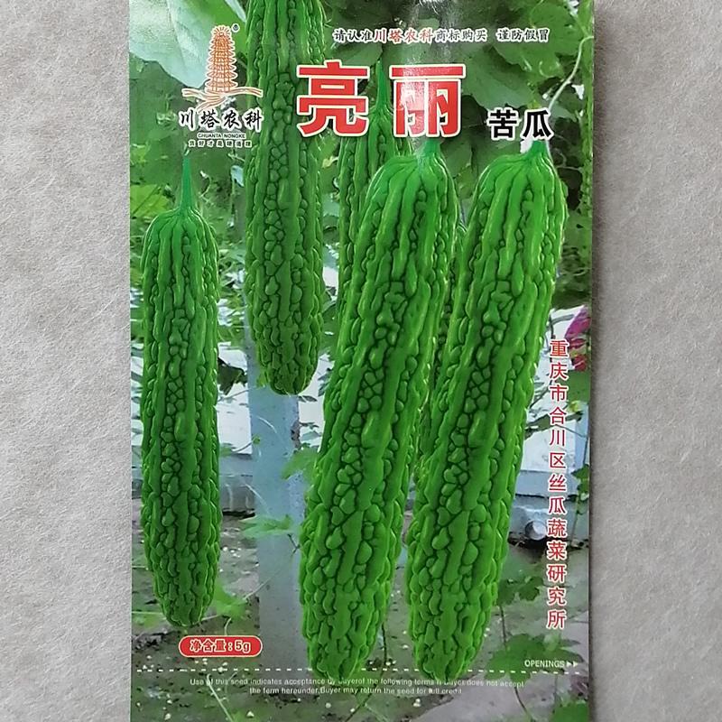 亮丽苦瓜种子瓜皮碧绿抗病高产外形美观商品性好刺瘤长苦瓜种籽