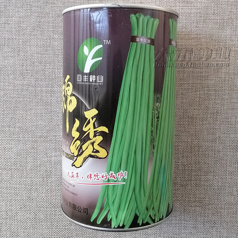 锦绣豆角种子色泽靓丽商品性好