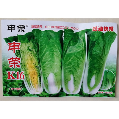 申荣K16奶油快菜小白菜种子