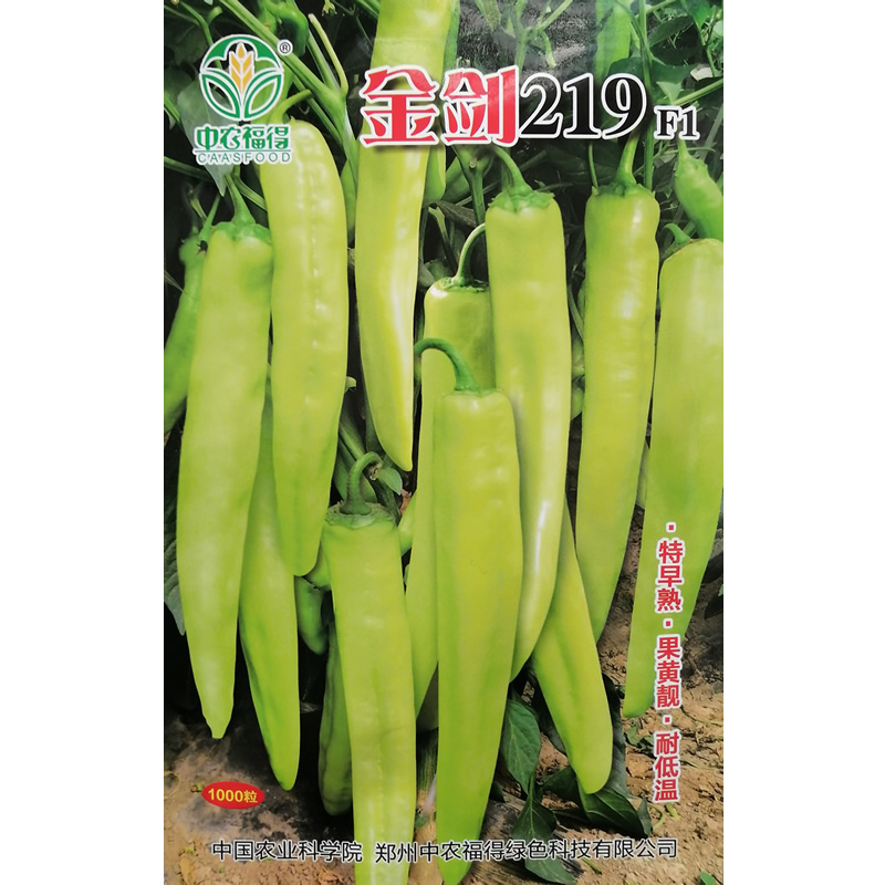 金剑219一代杂交特早熟特长黄皮尖椒种子果面光滑黄亮辣椒种籽