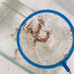 鱼捞小鱼网渔网小渔网抄网捞鱼网水族鱼缸金鱼小捞网兜捞小鱼爆款