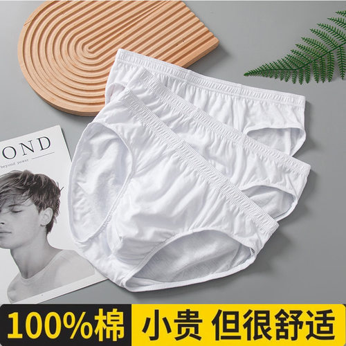 男士内裤纯白色三角裤衩纯棉裤头