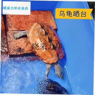 实心红砖块花园铺地砌垒墙理疗砖垫压物农村盖S房乌龟晒台建筑建l