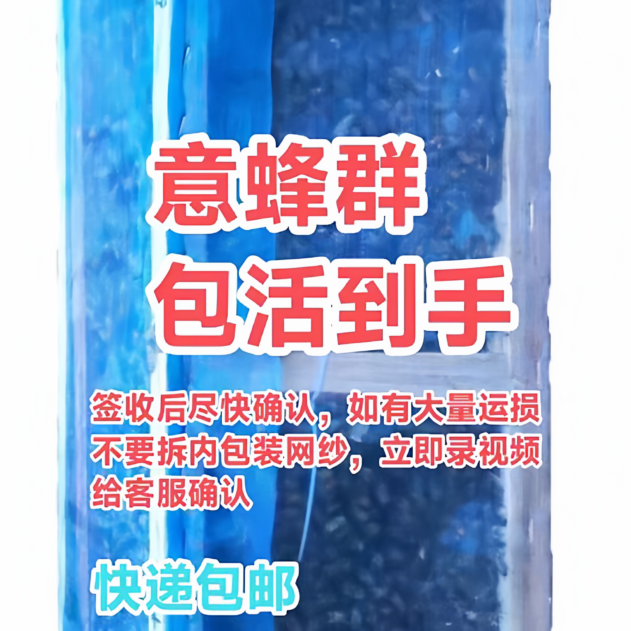 意蜂场笼蜂意蜂蜂群出售产王包活蜂疗授粉蜂群意大利蜜蜂包活到手