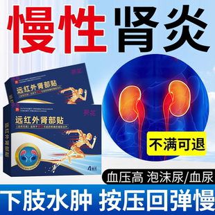 慢性肾炎腰疼特肾小球效降低尿蛋白血尿多紫癜肾炎康复肌酐高贴RW