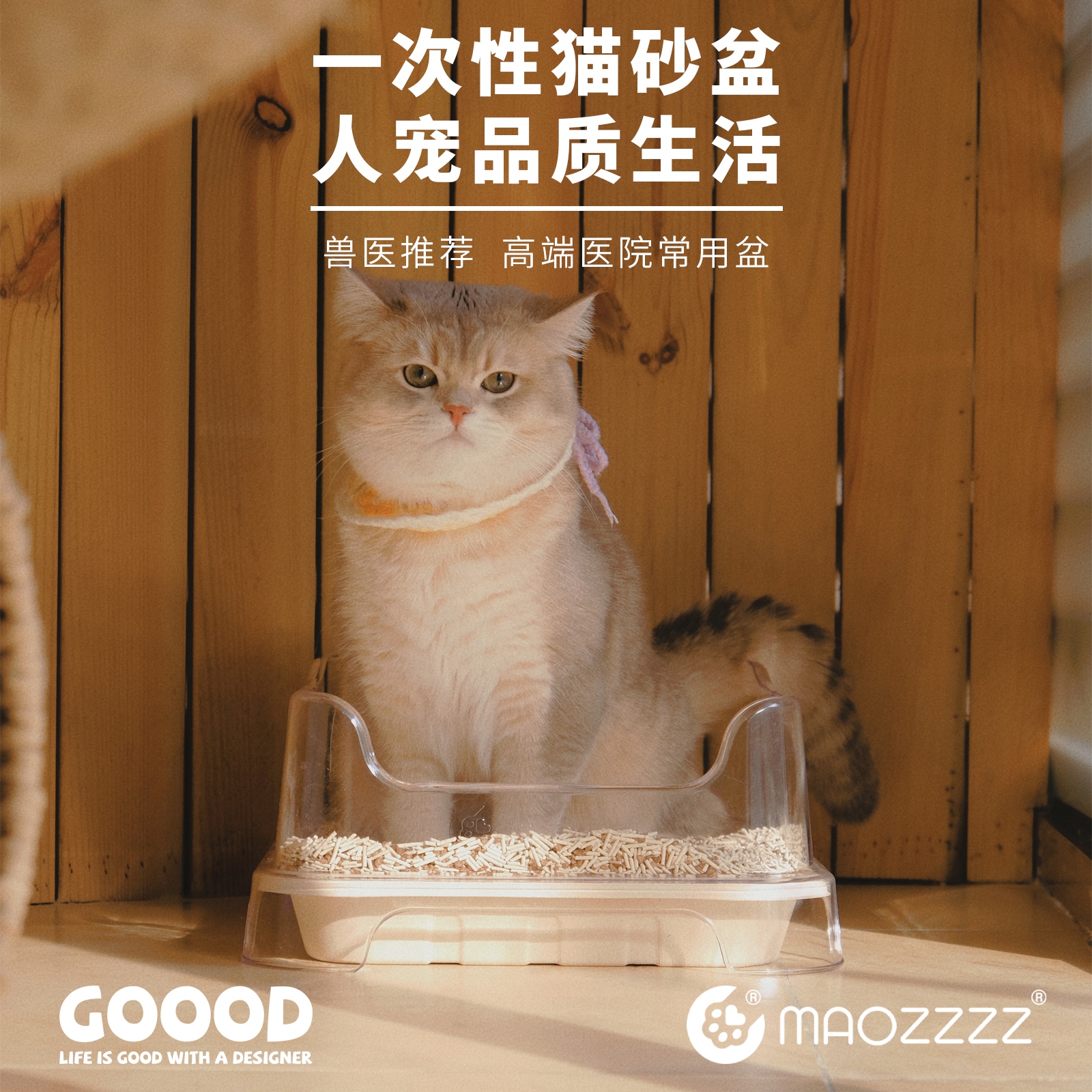 每天仅需5毛就可以不用洗猫砂盆