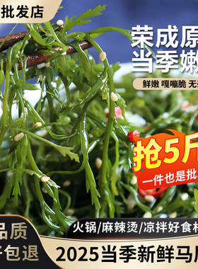 海草鞭炮笋5斤羊栖菜新鲜马尾藻长寿菜盐渍海藻菜半干货海带商用