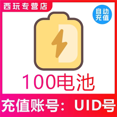 哔哩哔哩100 300 500 1000 2000电池充值 bilibili电池 b站哔站