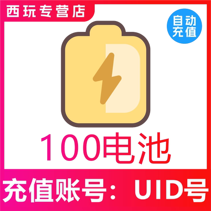 哔哩哔哩100 300 500 1000 2000电池充值 bilibili电池 b站哔站