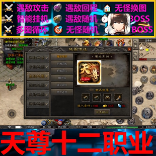天尊十二职业辅助脚本云手机盒子996传奇挂机黑科技现货boss自动