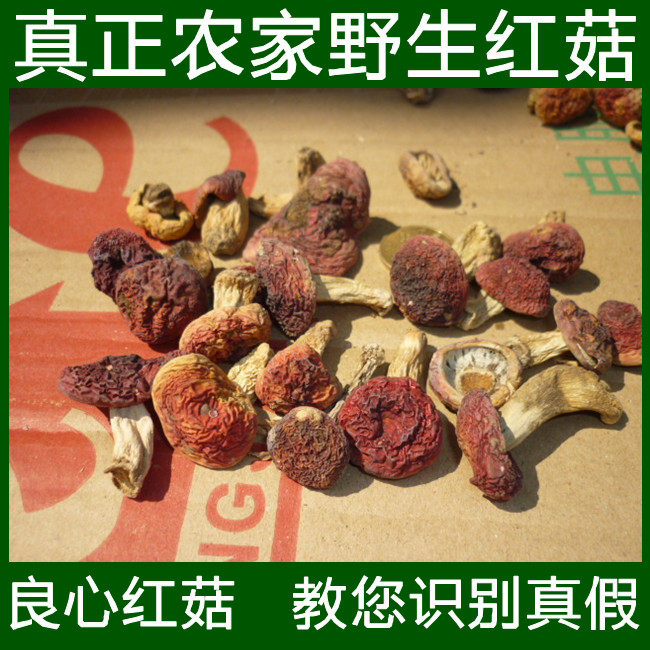正红菇福建野生红蘑菇干货正宗武夷山红姑三明红椎菌500g26年新品