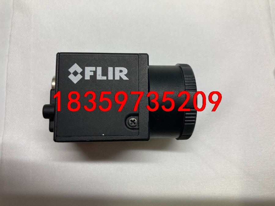 加拿大FLIR相机 BFLY-PGE-31S4M-C 201议价 电子元器件市场 振动电机/震动马达 原图主图
