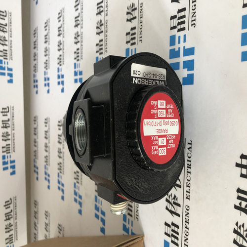 R119-04JK供应优势WATTS