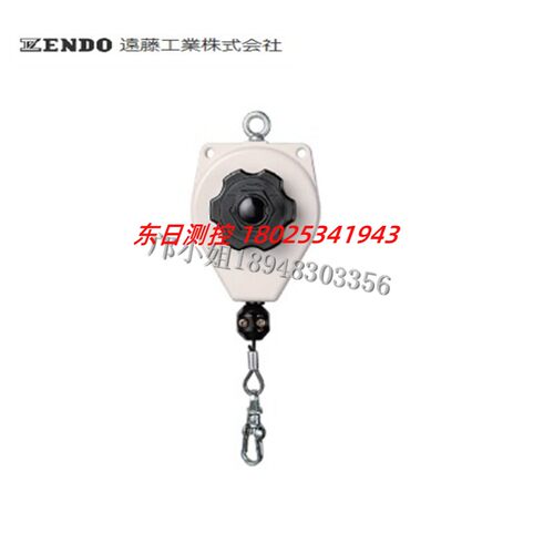 正品进口日本ENDO远藤ERP
