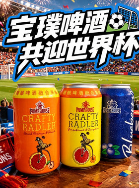 宝璞精酿果味啤酒355ml罐装