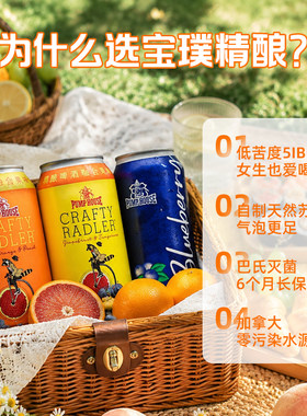 宝璞精酿啤酒女士低度果味血橙罐装汽水果酒高浓度大麦芽甜啤
