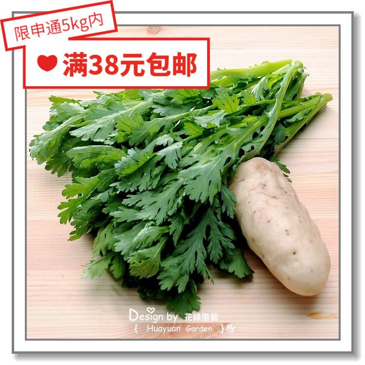 进口日本茼蒿花缘咸菜