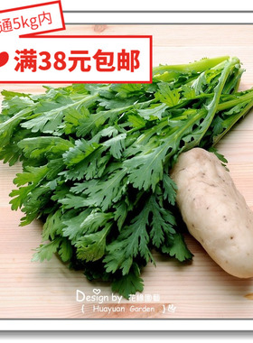 花缘咸菜 进口观赏菜种子*日本SAKATA*茼蒿*春菊20粒