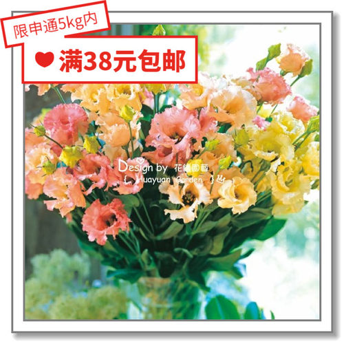 进口日本洋桔梗花缘咸菜