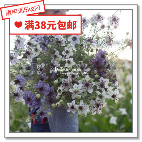 英国波斯花缘咸菜进口