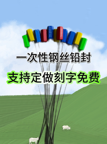一次性钢丝铅封抽紧式