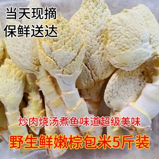 于都野生棕包赣南特产野生新鲜棕包米棕笋粽包花棕树尖棕包棕带壳
