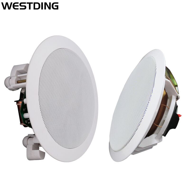 威斯汀（WESTDING）WX-201有源吸顶音响音箱吸顶喇叭功放一体吊顶