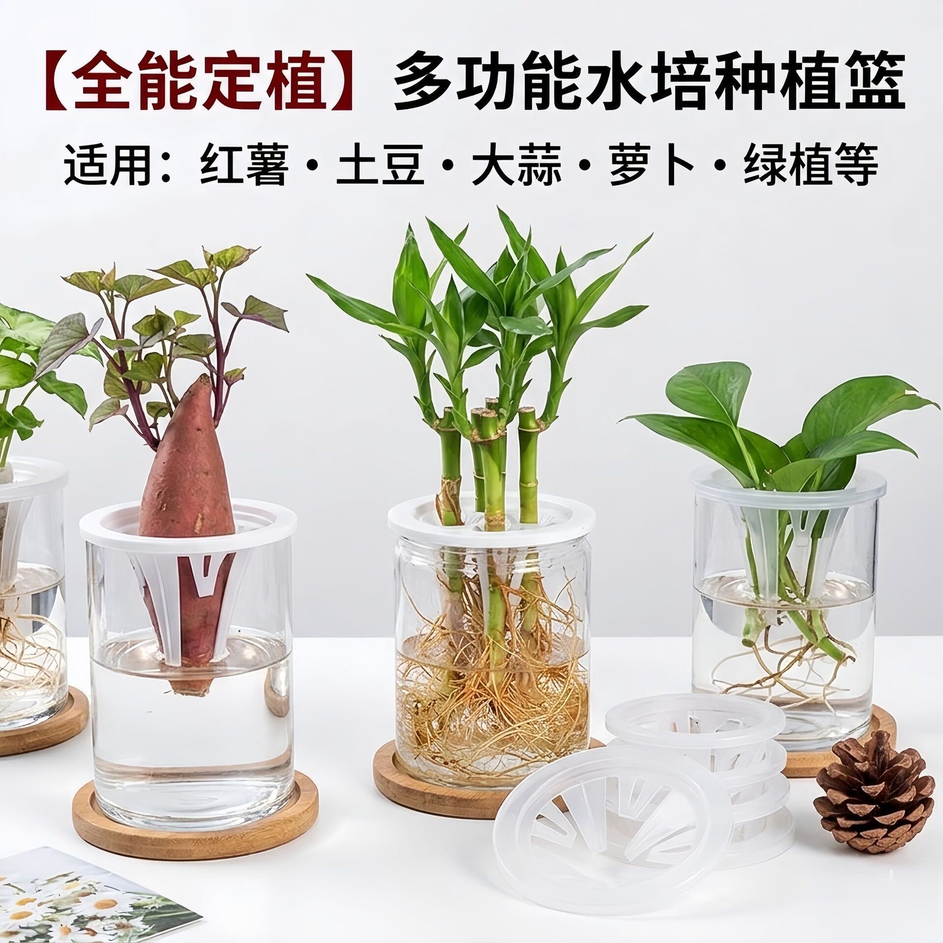 二套水培瓶透明盆瓶配三孔定植篮塑料富贵观音竹虎皮兰绿植花卉