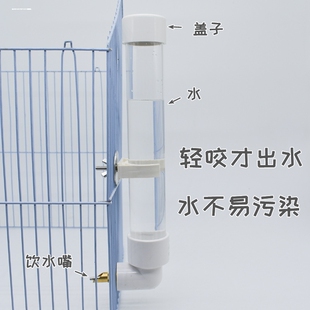 撞针水壶鹦鹉专用饮水器自动喂水横丝虎皮牡丹小鸟食盒挂式喂食器