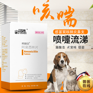 阿莫西林片宠物狗狗猫咪消炎药感冒消炎药咳嗽猫鼻支药品幼犬窝