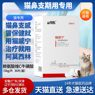 爱纳它猫感宁猫胺猫咪赖氨酸 希林安感冒流鼻涕眼泪鼻支打喷嚏