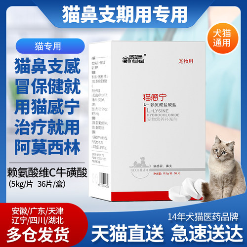 猫咪感冒流鼻涕猫鼻支打喷嚏咳嗽