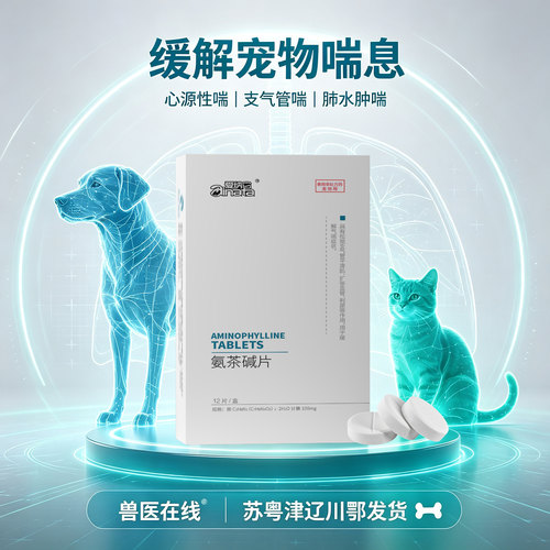 爱纳它氨茶碱片改善肠气喘