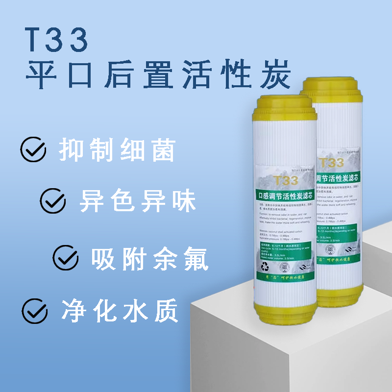 家用后置平口10寸大T33椰壳活性炭净水器通用直饮纯水机优质滤芯 厨房电器 净水/饮水机配件耗材 原图主图