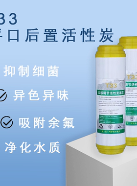 家用后置平口10寸大T33椰壳活性炭净水器通用直饮纯水机优质滤芯