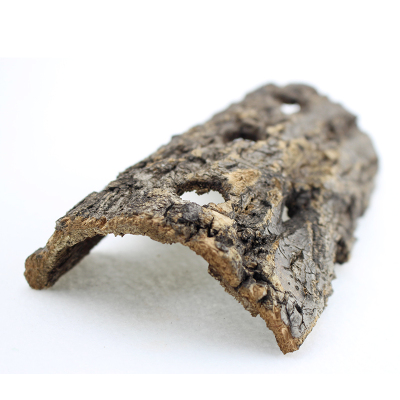 甲虫攀爬树皮独角造景饲养用品