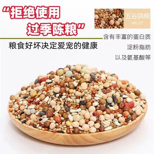 鸽粮无玉米鸽子粮幼鸽成鸽观赏鸽肉鸽信鸽清除红高粱精品鸽子饲料
