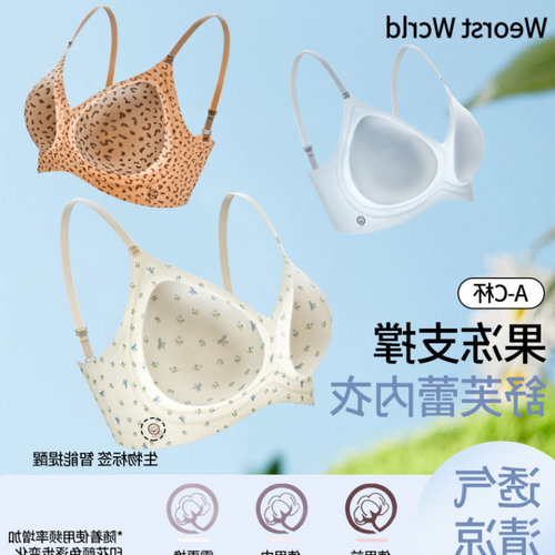 SeoretWcrld内衣女小胸聚拢文胸