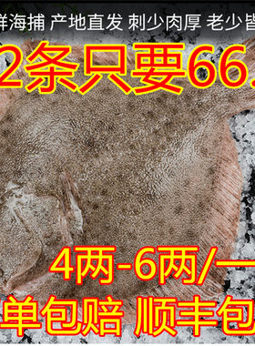 海鲜水产多宝鱼新鲜多宝鱼石斑鱼比目鱼花岗鱼江鱼菱鲆鱼顺丰包邮