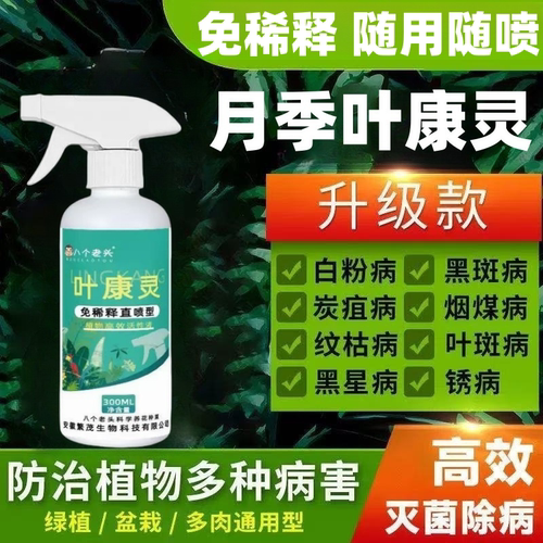 叶康灵月季花病虫害常用药叶子发黄黑斑花病康喷剂植物杀菌剂F